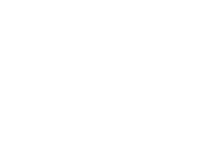 Lionsgate Logo