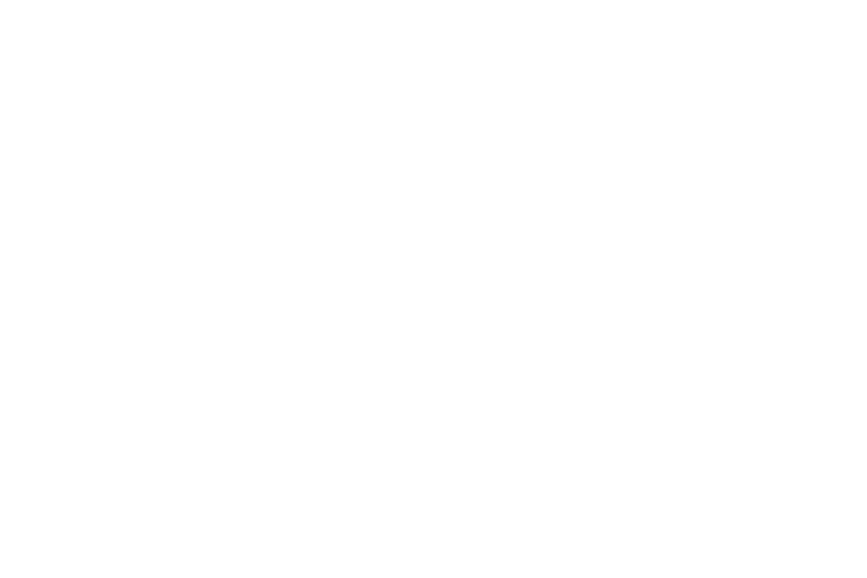 American Born Chinese