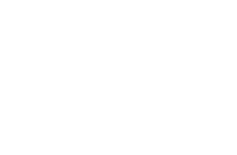 A Dog’s Purpose