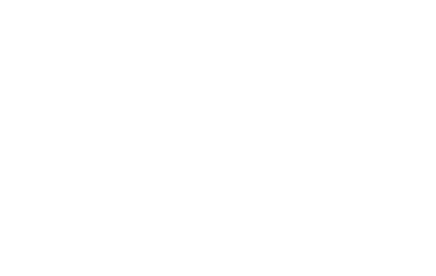 Zero Dark Thirty logo
