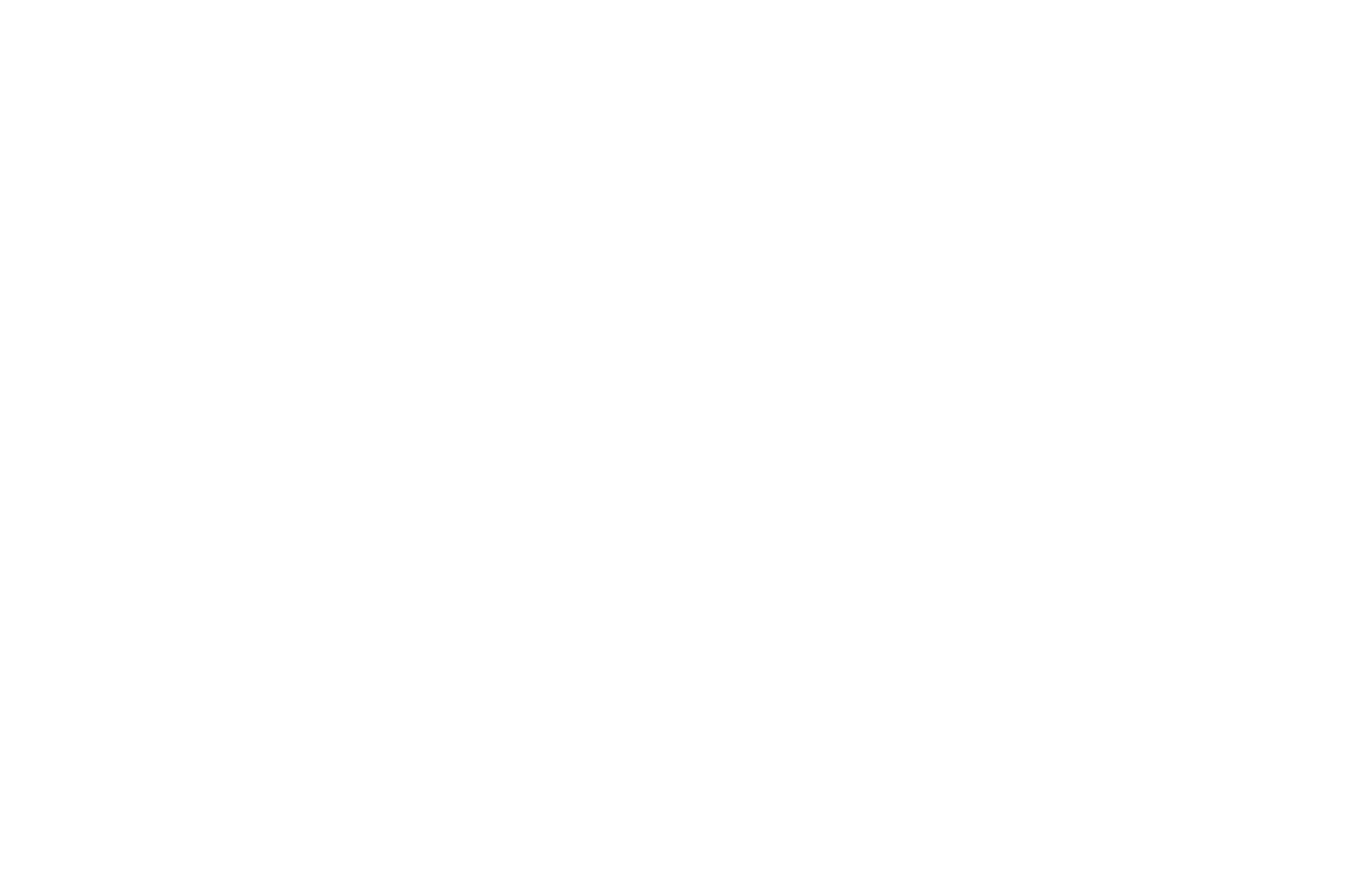 Plaion Logo